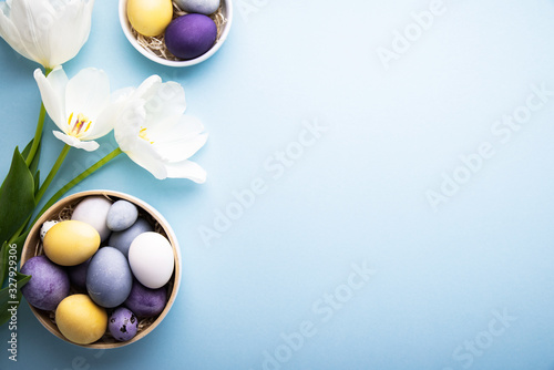 Photography Naturally colorful dyed Easter eggs on blue background