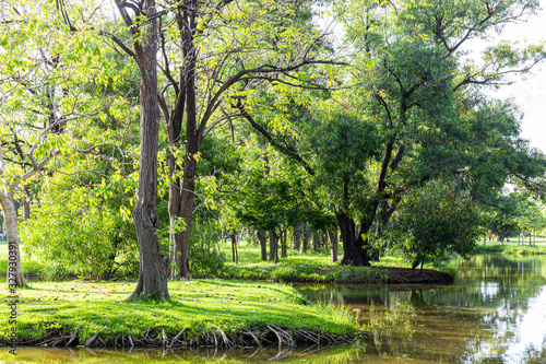 Landscap and sunset in park © Phafan