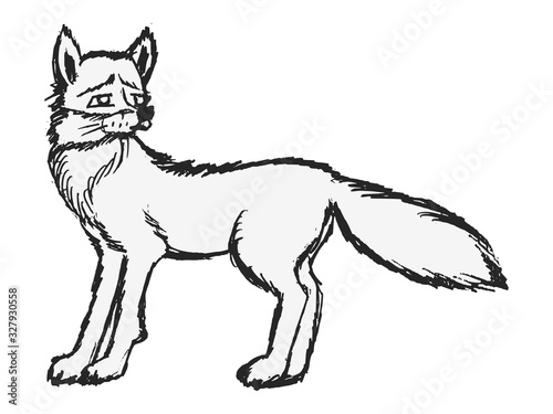 Vector illustration of fox