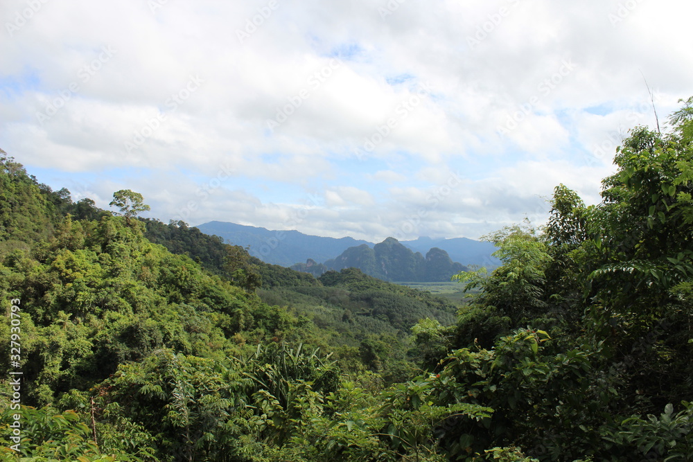 Urwald Thailand