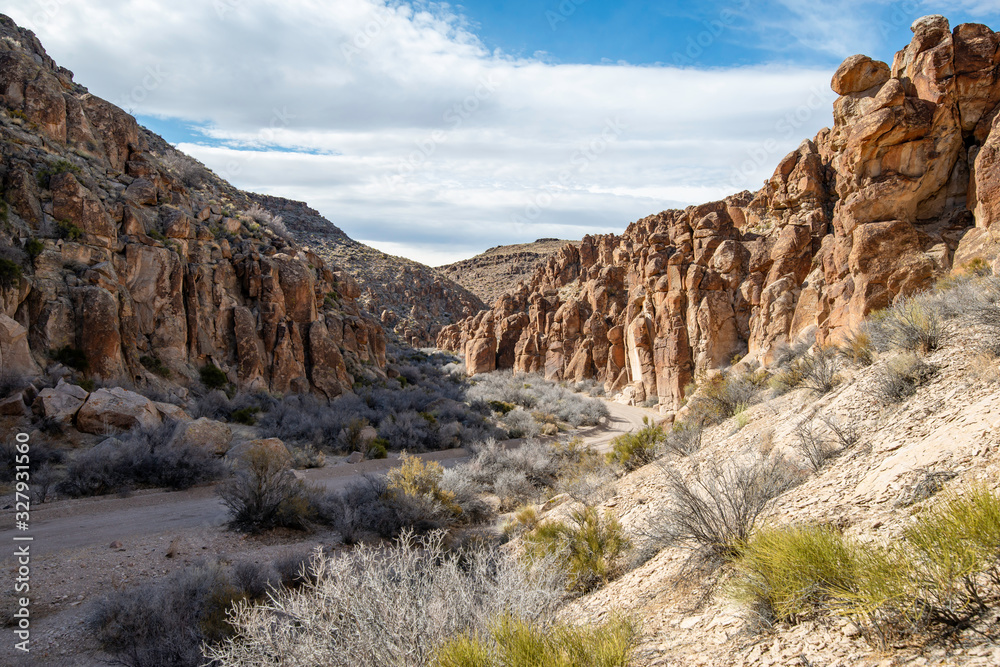 A dirt road through Wrong Way Canyon and the Valley of Faces in Basin and Range National Monument, Lincoln County, Nevada, USA.