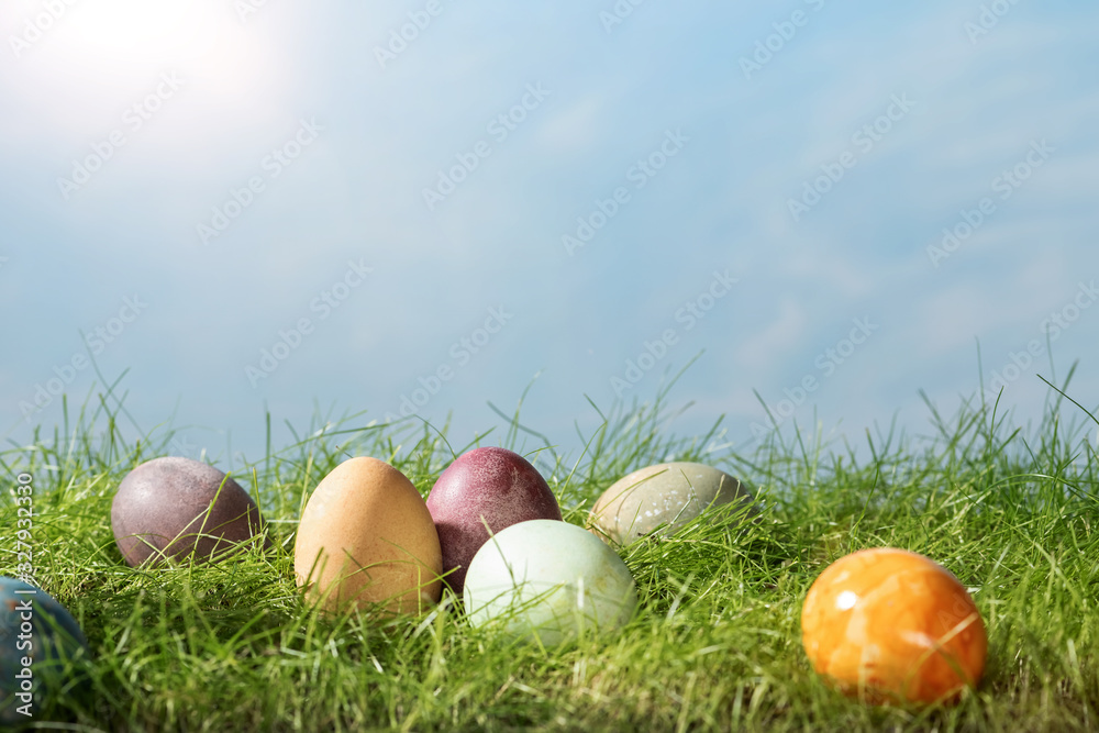 Easter eggs in spring grass with cloudy sky Easter eggs in spring grass with cloudy sky