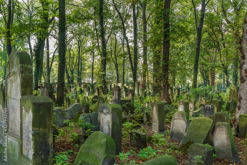 New Jewish Cemetery, Krakow, Poland New Jewish Cemetery, Krakow, Poland