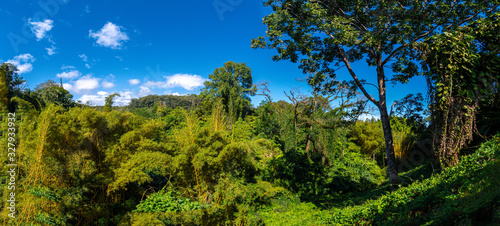 Panoramic view of a landscape in Alaka Falls park in Big Island Hawaii