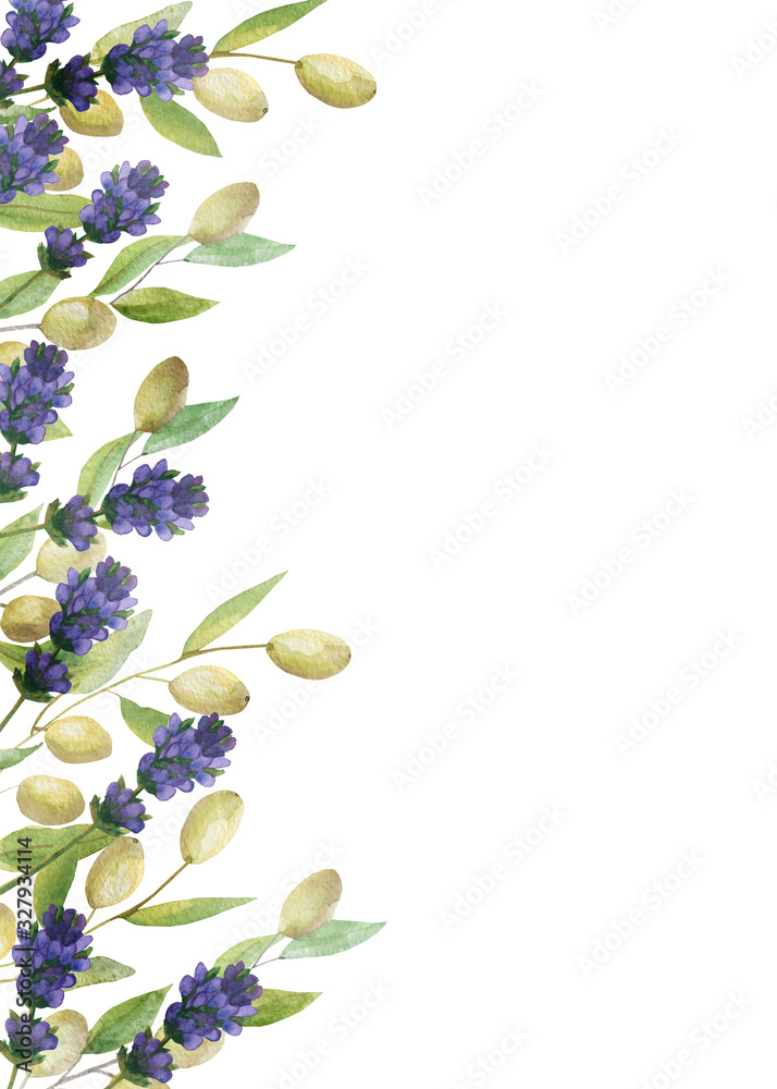 Obraz premium Watercolor hand painted nature provence floral vertical banner line with purple blossom lavender flowers and olive on branches with green leaves on the white background for invite and greeting cards