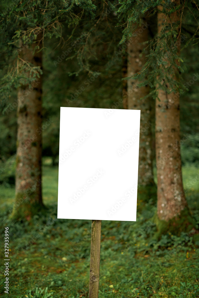 Empty white information board in summer forest, mock up