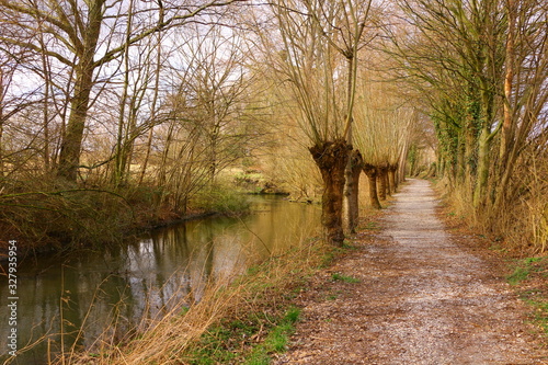 Kleiner Bach bei Bad Sassendorf photo