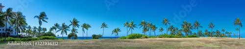 Fototapeta Naklejka Na Ścianę i Meble -  Panoramic view of palms in Ko'Olina Oahu Hawaii 