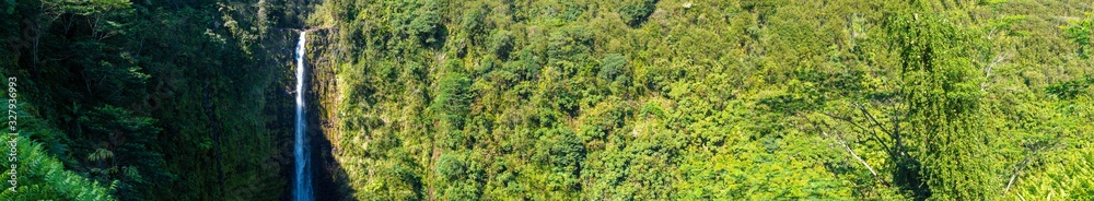 Panoramic view of the vegetation around Akaka Falls in Bigh Island Hawaii Panoramic view of the vegetation around Akaka Falls in Bigh Island Hawaii