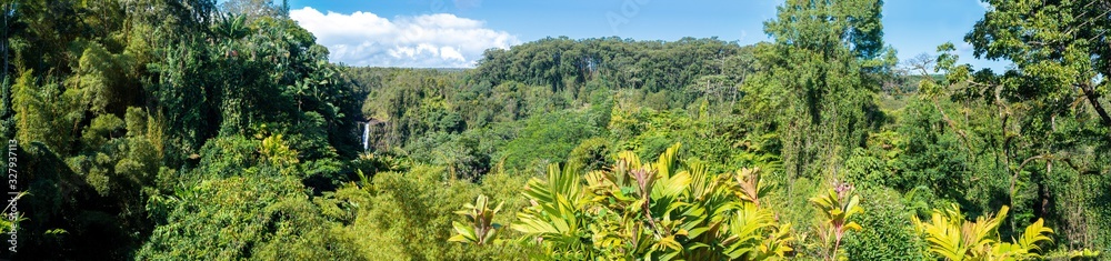 Panoramic view of the vegetation around Kahuna Falls in Bigh Island Hawaii.