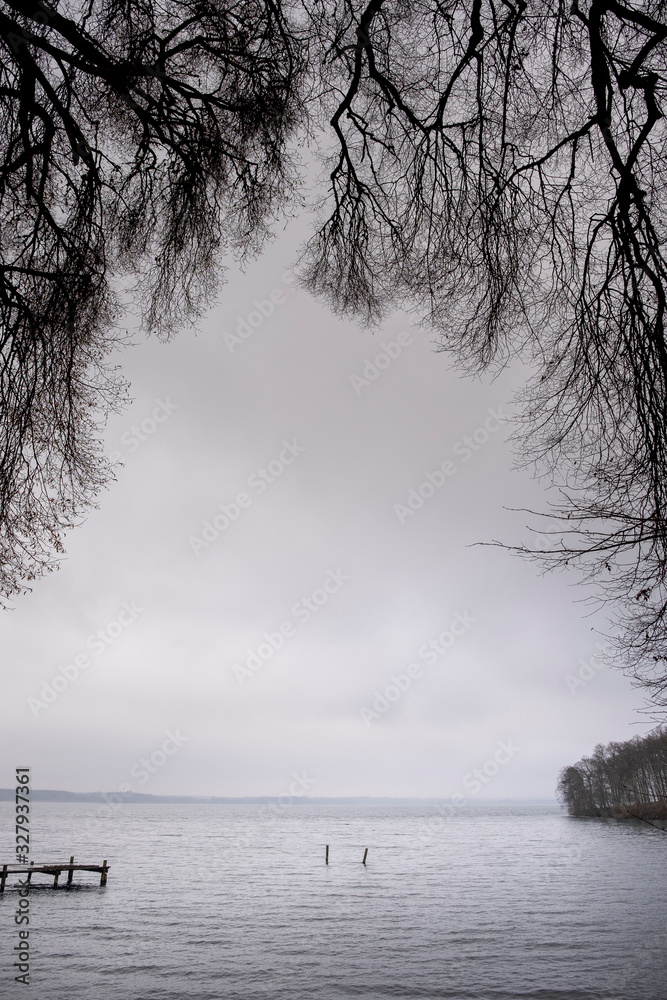 Branches hang down and frame a lake in background