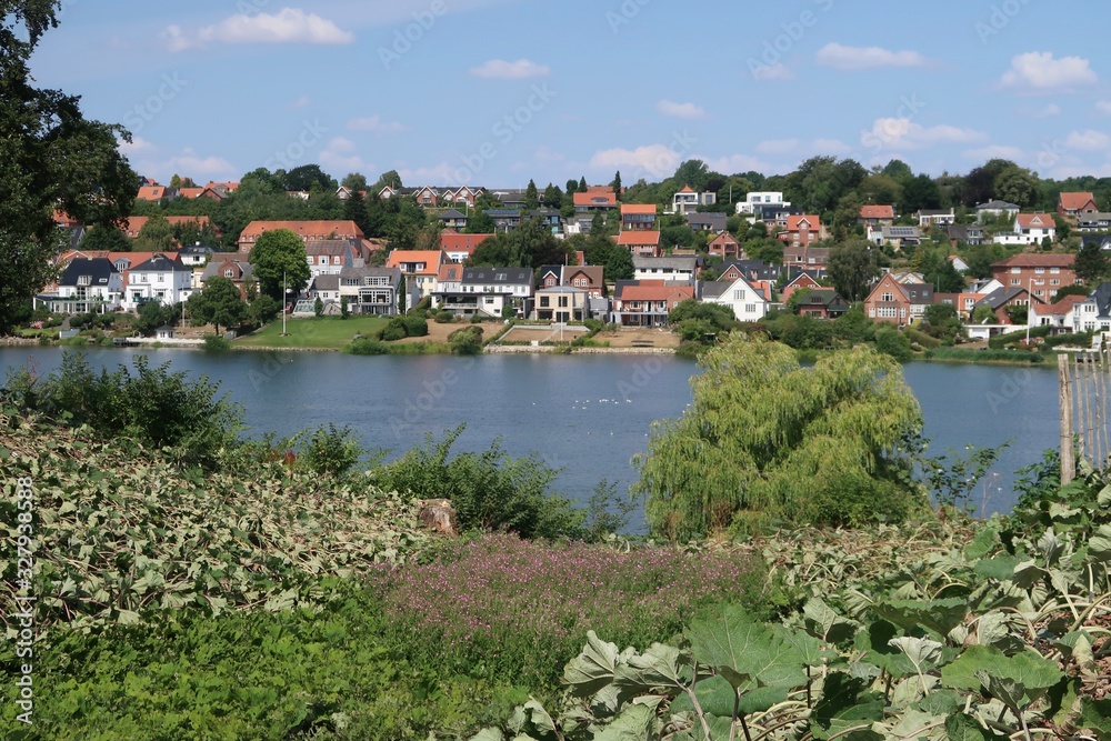 Fototapeta premium view of the river in prague