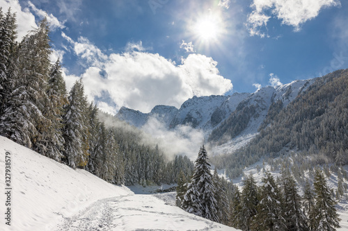 Winterlicher Wanderweg photo