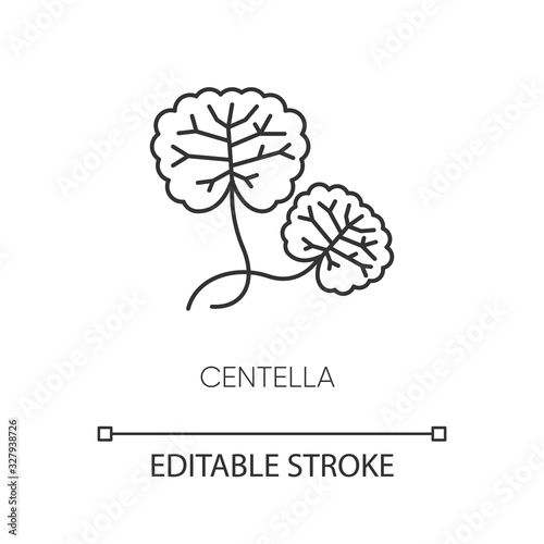 Centella pixel perfect linear icon. Herbal component. Natural skincare. Organic treatment. Thin line customizable illustration. Contour symbol. Vector isolated outline drawing. Editable stroke