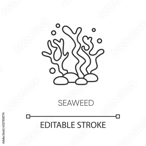 Fotografie, Obraz Seaweed pixel perfect linear icon