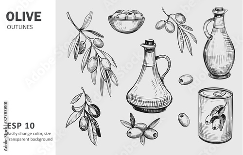 Olives, olive branch, olive oil. Vector sketches with transparent background