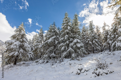 Winterwald auf dem Klausberg © cmfotoworks