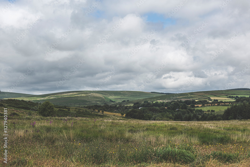 Bellever Woods - Dartmoor National Park - UK Bellever Woods - Dartmoor National Park - UK