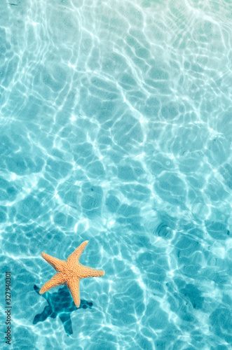 Starfish on the summer beach in sea water. Summer background.