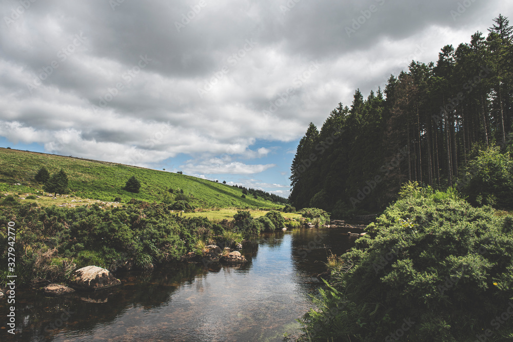 Fototapeta premium Bellever Woods - Dartmoor National Park - UK