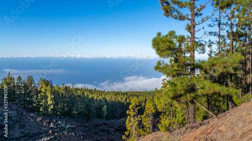 View of mountain landscape with canary pine forest and horizon with clouds. 