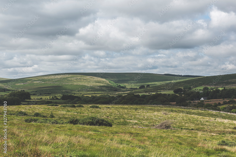 Fototapeta premium Bellever Woods - Dartmoor National Park - UK