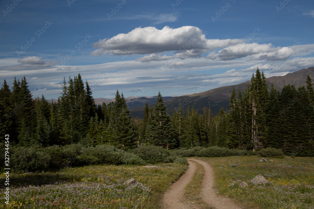 Fototapeta premium road in the mountains