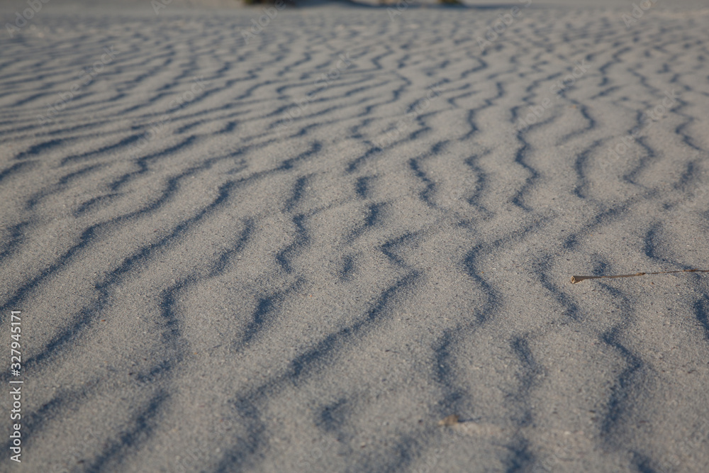 sand dunes on the beach sand dunes on the beach