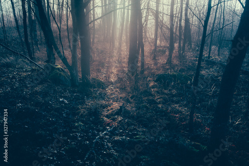 Cold morning
