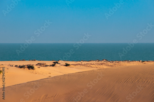 ocean view from Wahiba sand desert in Oman photo