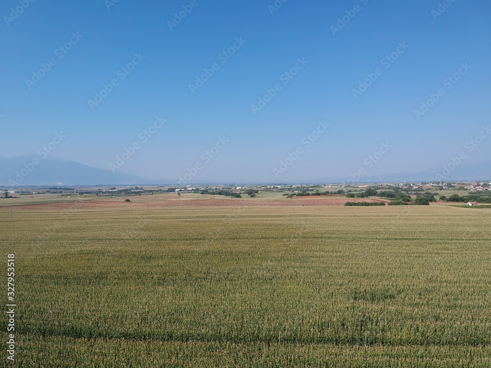Aerial drone landscape photo from high above of fields in a clear weather summer day  in the outskirts of Drama, Greece