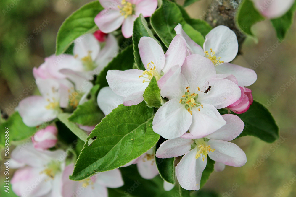 Fototapeta premium orange buoy swims on the water