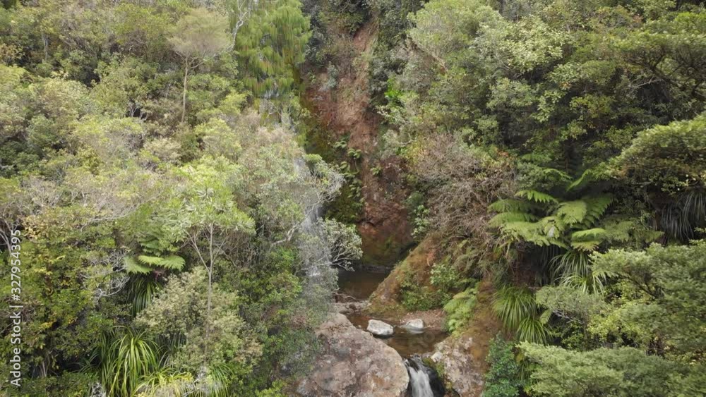 Beautiful Waterfall In New Zealand Native Forest. Wentworth Valley Falls in Coromandel Beautiful Waterfall In New Zealand Native Forest. Wentworth Valley Falls in Coromandel