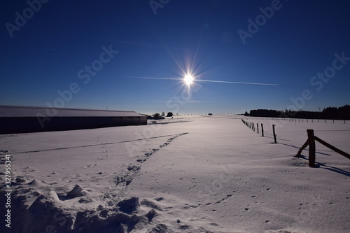 Blue sky with sun over snowy fields © Peter