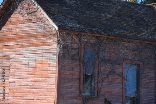 Old Abandoned Building photo