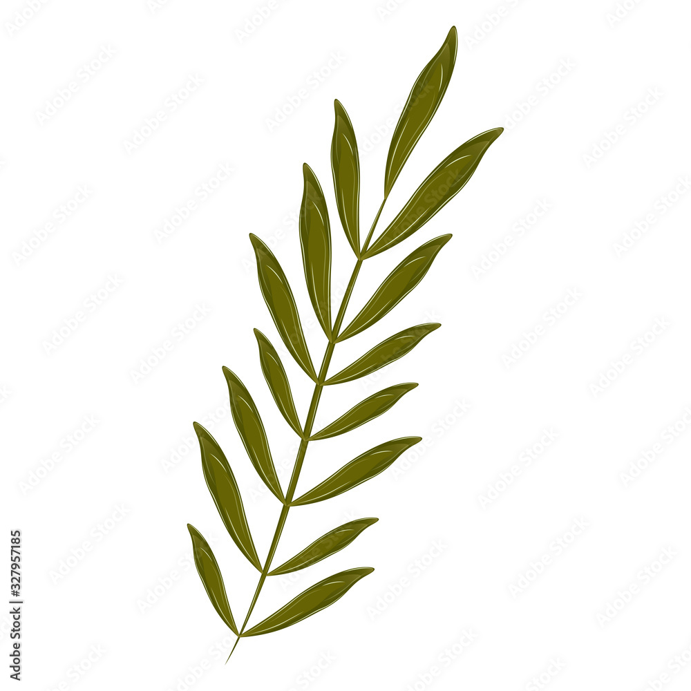 Isolated realistic leaf Isolated realistic leaf