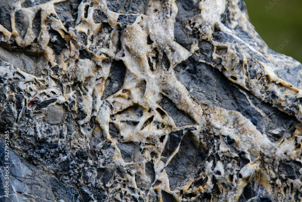 The texture of the stone. Background. Close-up. The texture of the stone. Background. Close-up.