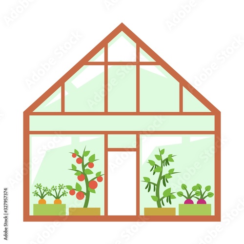 Greenhouse design with vegetable plants