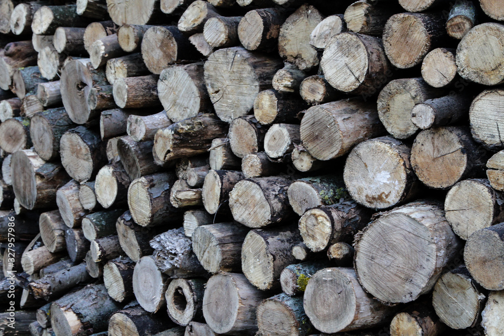 Firewood. Round logs folded for storage. Firewood. Round logs folded for storage.
