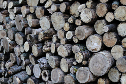 Firewood. Round logs folded for storage.