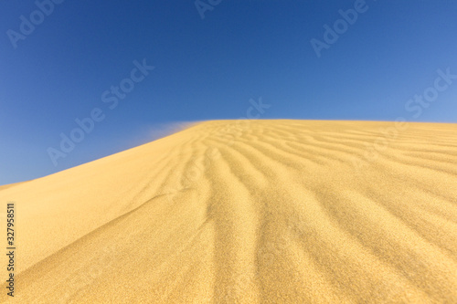 Dunes of Maspalomas in Gran Canari  Canary Islands 