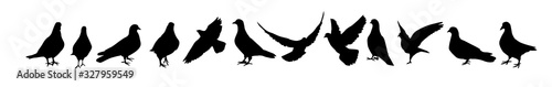 Foto A set of silhouettes of pigeons. Vector illustration
