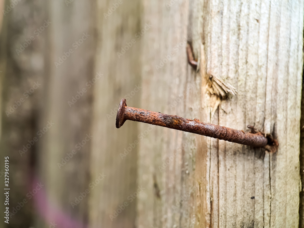 Old Rusty Nail in Dirty Wood Old Rusty Nail in Dirty Wood