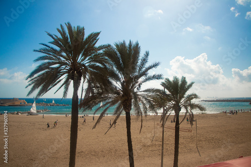 Fototapeta Naklejka Na Ścianę i Meble -  tropical beach with palm trees-barcelona