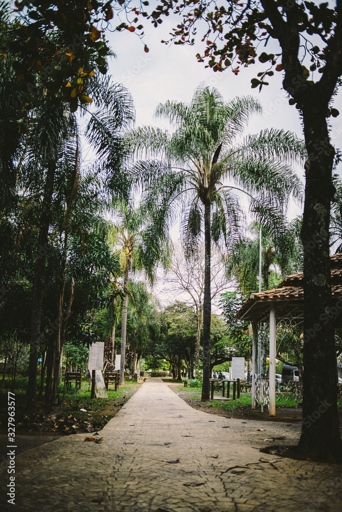 Obraz premium serra negra