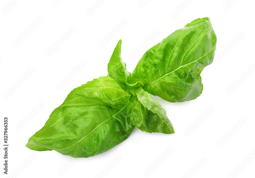Fresh green basil leaves isolated on white Fresh green basil leaves isolated on white