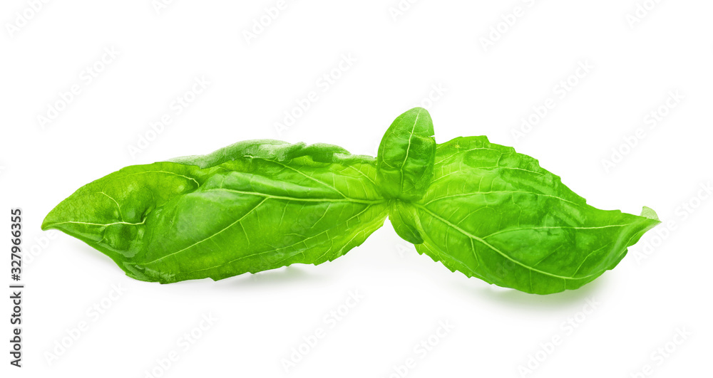 Fototapeta premium Fresh green basil leaves isolated on white