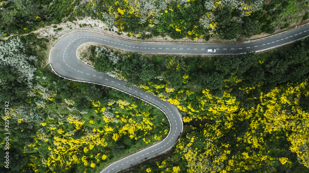 Aerial view of road in forest Aerial view of road in forest