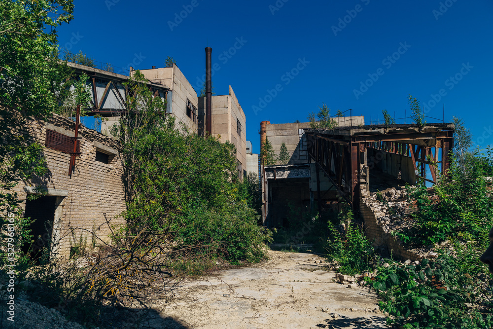 Old overgrown abandoned factory of reinforced concrete