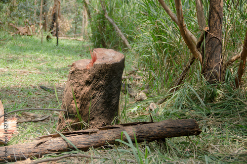 Deforestation in mountains of Colombia